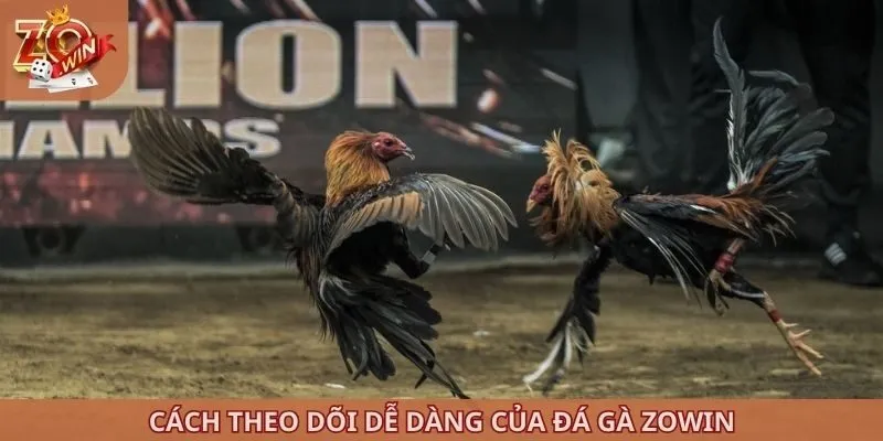 Cách theo dõi dễ dàng của đá gà ZOWIN