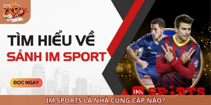IM Sports - Nhà Cung Cấp Thể Thao Siêu Nổi Bật Tại ZOWIN 2 IM Sports là nhà cung cấp nào?