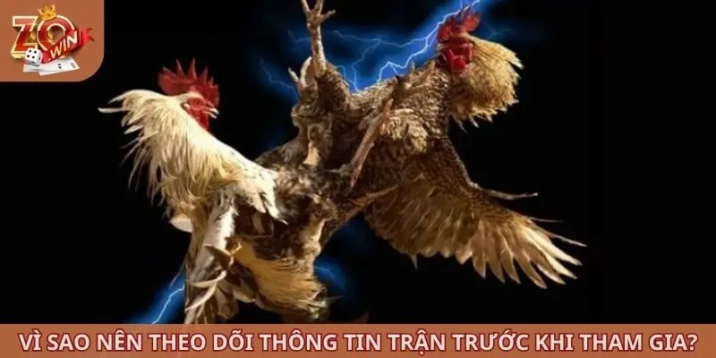Vì sao nên theo dõi thông tin trận trước khi tham gia?